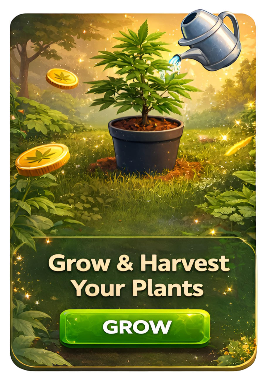 Grow & Harvest Your Plants